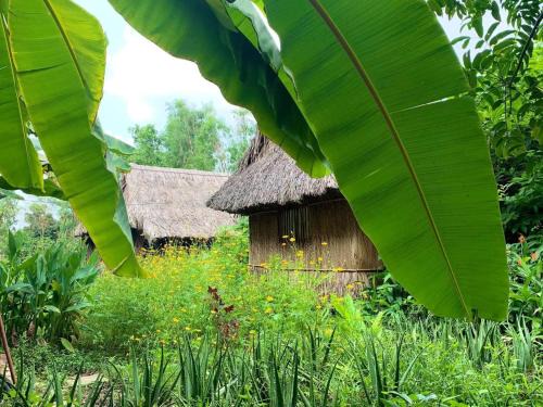 Saigon Garden Homestay