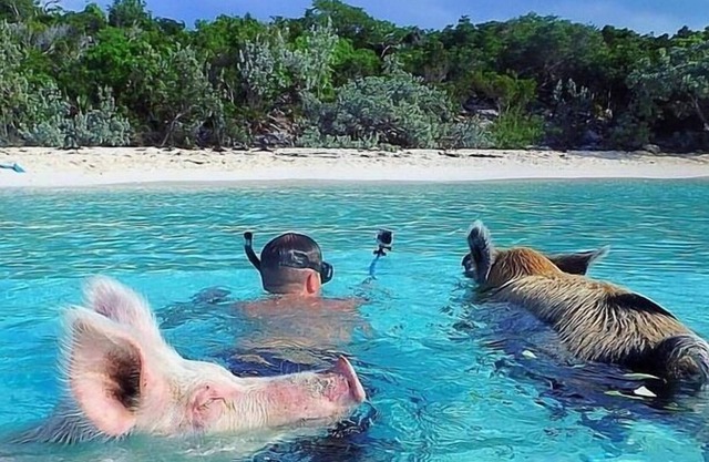 Sail Away on the Serendipity of Life!