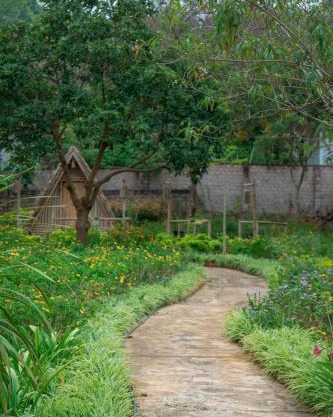 SAKURA House - Hoa Ban