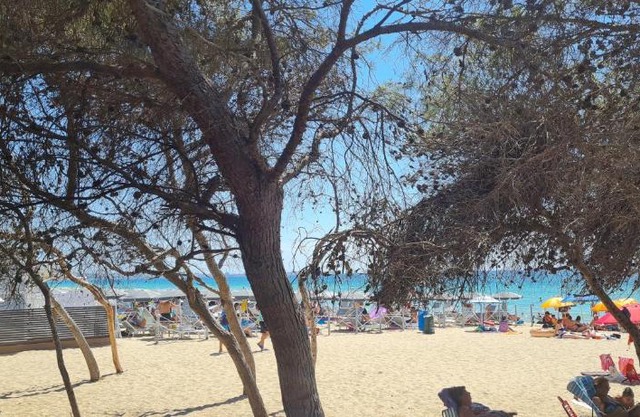 Salento home