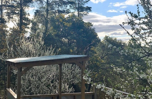 Salt Spring Art Retreat;
