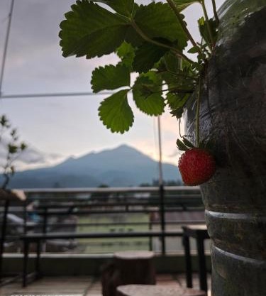Samara homestay