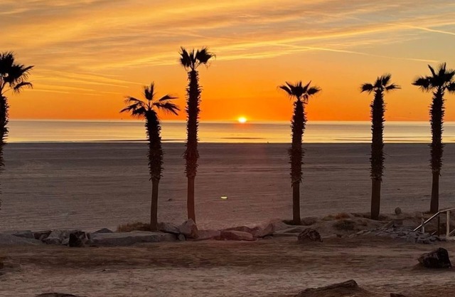 The Beach 