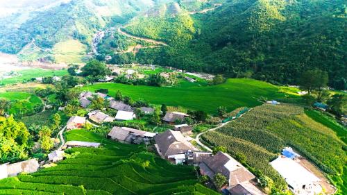 Sapa Tranquilla