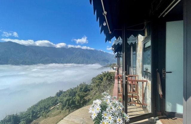 Sapa