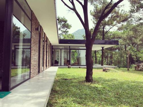 Sapavilion