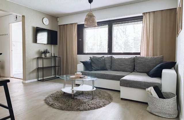 Sapelin airbnb, Parkano