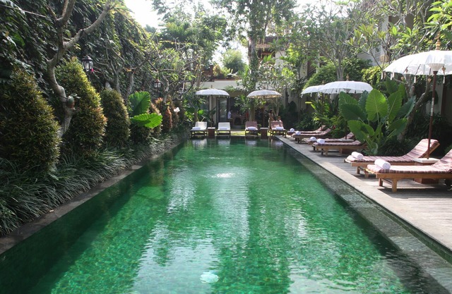 Sapodilla Ubud