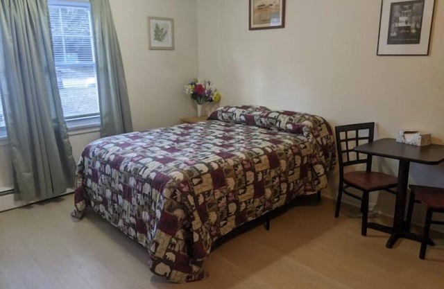 Saranac Lake Studio Apt on a budget! (New Listing)