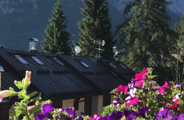 Sasso Rosso Apartment with Alps View