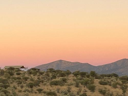 Savanna Villas