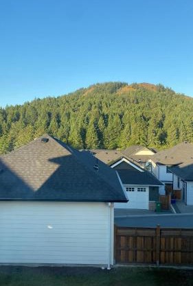 Scenic Equipped Detached Private Westhills Carriage Home In Langford