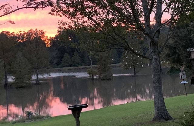 Scenic, upscale country living minutes from I-10 & I-49, & downtown Lafayette.,