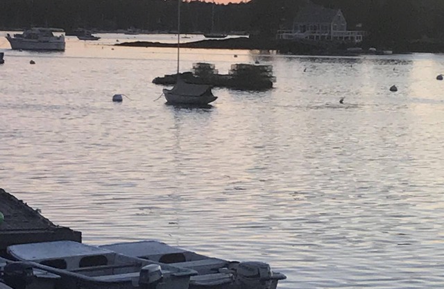 Scenic water view II 🌅walking distance to restaurants shopping and boat excursions ! No car necessary !