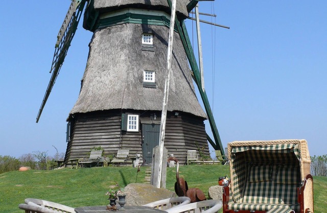Schöne authentische Mühle nahe am Meer