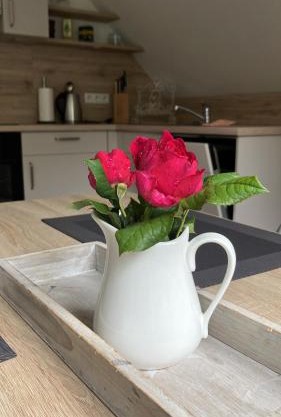 Schöne moderne Ferienwohnung