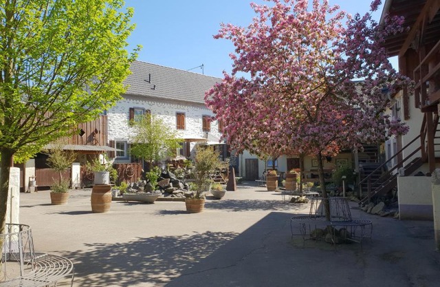 Schöne Wohnung Kleiner Onkel auf idyllischem Reiterhof nahe Burg Eltz