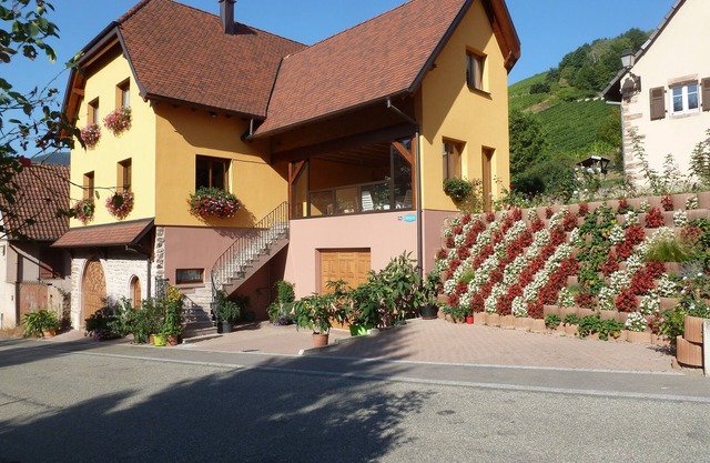 Schieferberg in the heart of the vineyards