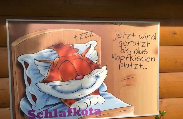 Schlafkota vom Friesenhof Wieratal