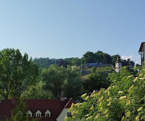 Schlossbergblick