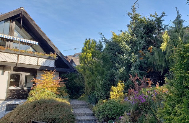 Schoenes Haus is a beautiful apartment in Hilchenbach
