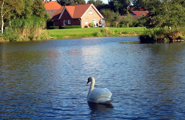Schwalbenhaus - Ferienhof Am Birkensee, 55125