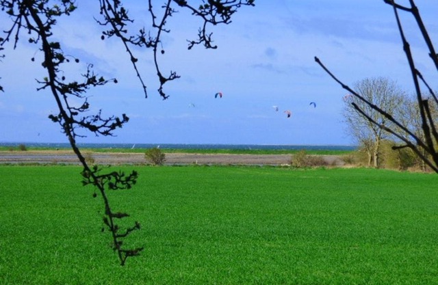 Schwalbennest 2