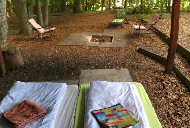 Schwedischer Shelter unter Buchen
