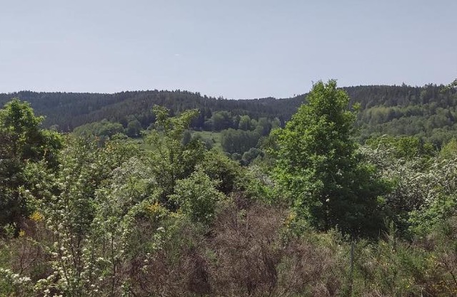 Seßles Waldhäusschen Dietzhausen