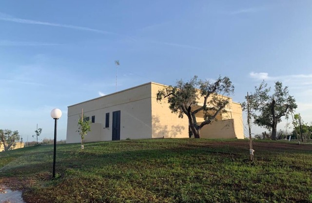 sea and olive trees holiday home