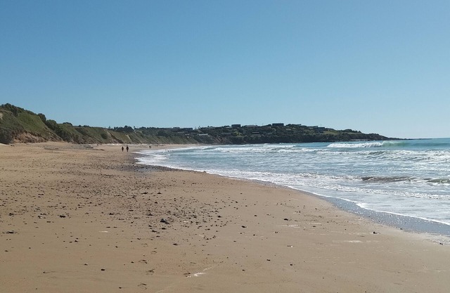 Sea Breeze Apartment - Kakanui