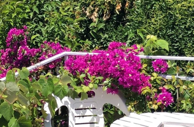 Sea, garden, kite school and relaxation. You can choose everything from you. C4