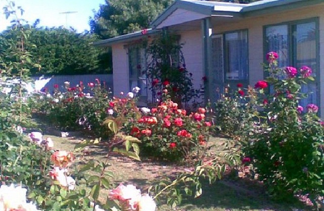 Sea Rose ~ Short walk to the beach and shops! Off Peak Special!