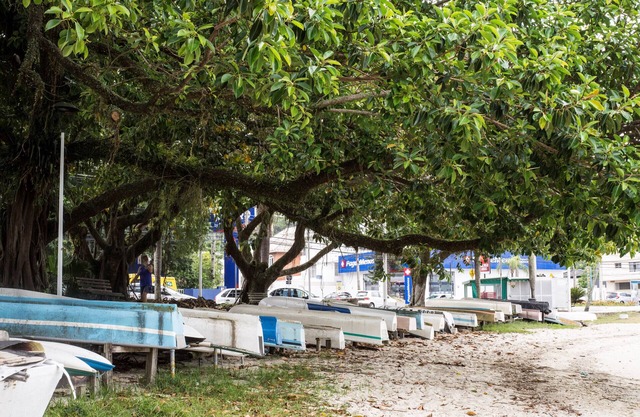 Sea View on the Coqueiros Gastronomic Route COQ2