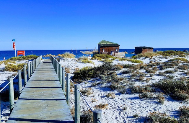 Sea views and easy beach access in completely renovated historic house