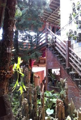 Sea Villa Homestay