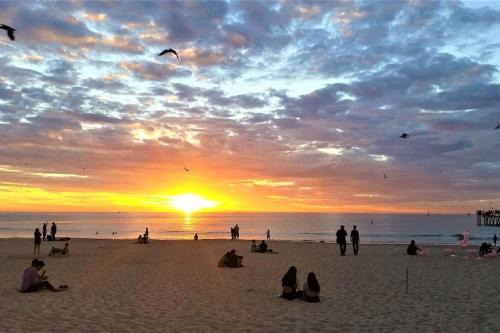 Glenelg North 