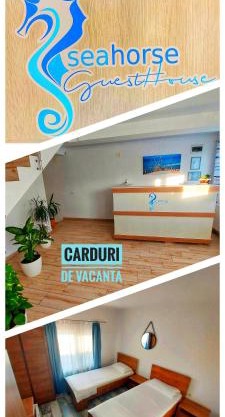 SeaHorse GuestHouse