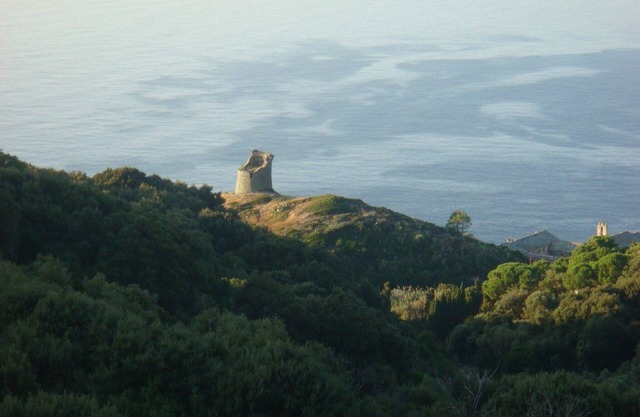 SEASONAL APARTMENT RENTAL IN PINO CAP CORSE FOR 3 PEOPLE.