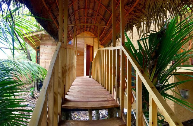 Seasons Four Eco Friendly Treehouse
