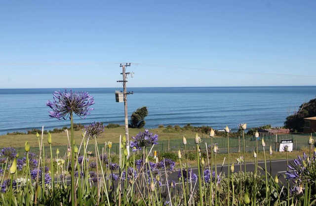 Seaview Cottage. A cosy relaxing cottage, close to Mokau.