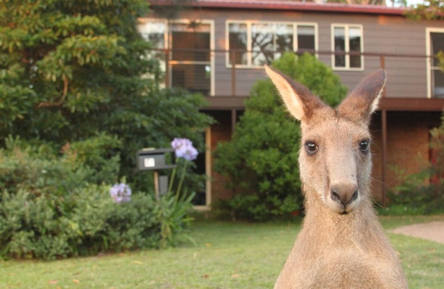 Sec57 - Jan's Retreat by Experience Jervis Bay