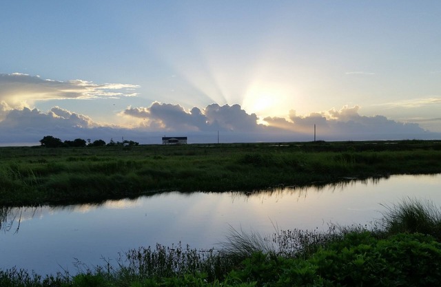 Secluded 3,500 acre marsh with abundant wildlife and views
