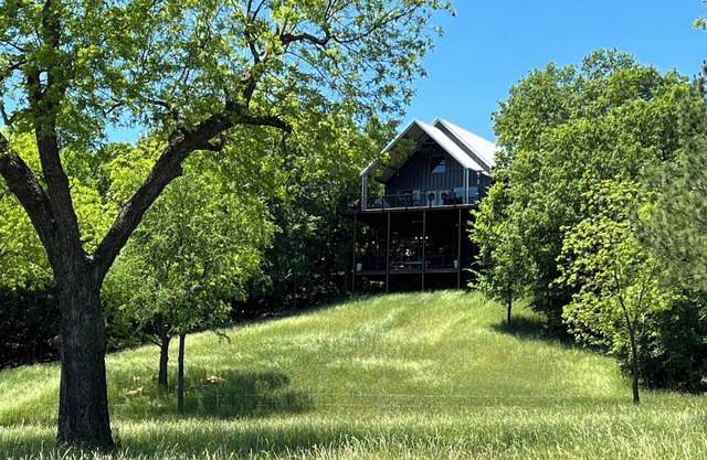 Secluded and Peaceful Treetop Cabin Retreat, located on Webb Mtn Cattle Ranch.