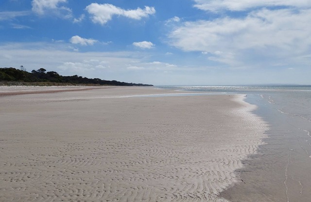 Secluded beach, native bush-Clearwater Haven inc towels and linen