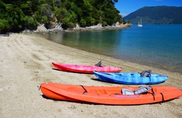 Secluded beach front property with drive on access