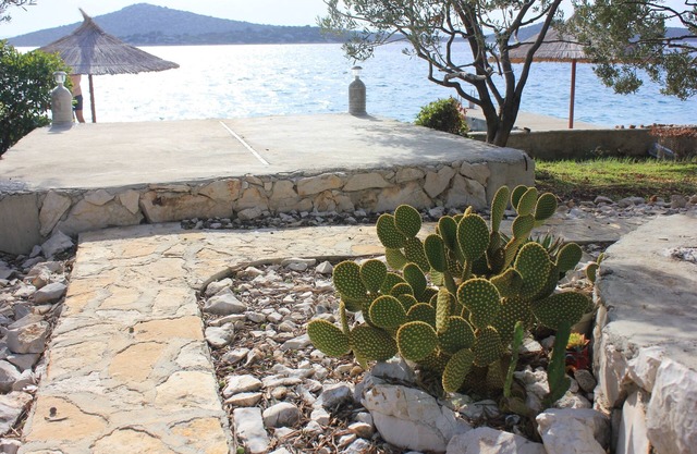Secluded fisherman's cottage Cove Vitane, Pašman (K-8483)