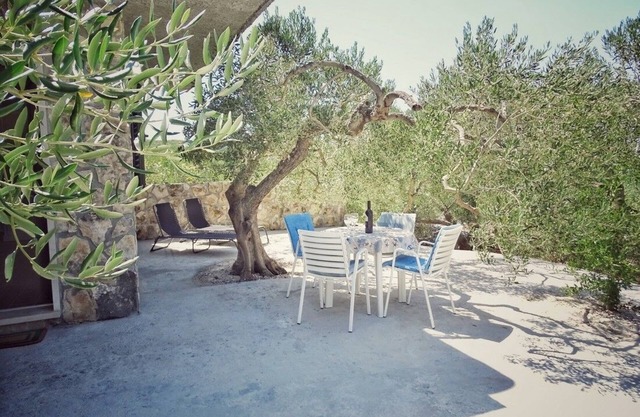 Secluded holiday house Povlja, Brač (K-14500)