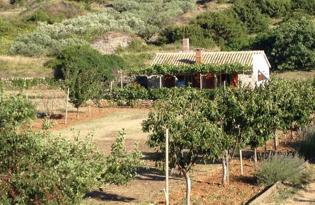 Secluded house with a parking space Podhumlje, Vis (K-13984)