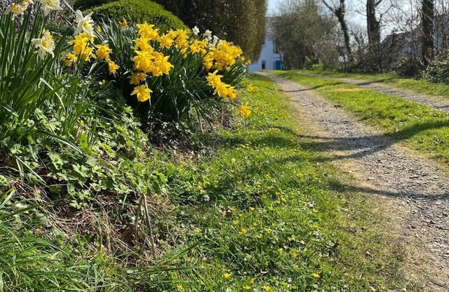 Secluded large modern house with self contained private garden and own lane